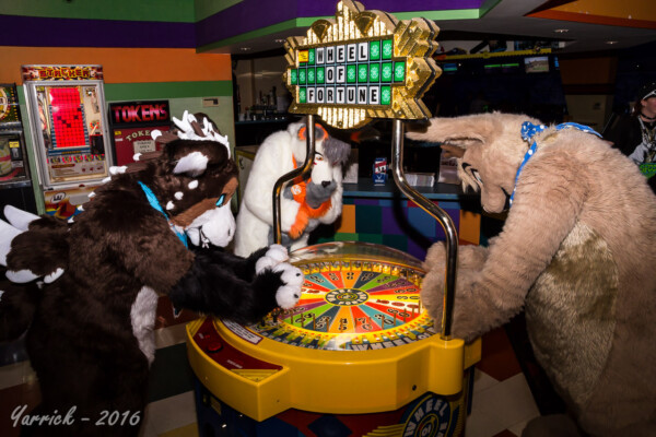 1629_IMG_6531
