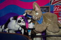 1702_MN Furs Bowling May 7 2016-359 