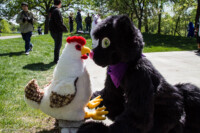 0086_IMG_6675 