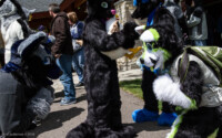 0116_IMG_6574 