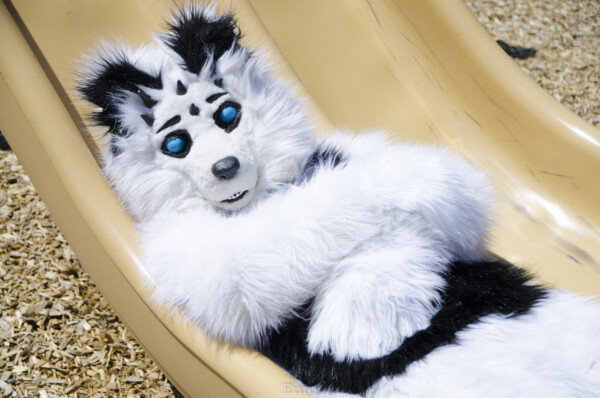 0134_MNFurs Spring Picnic May 14 2016-388