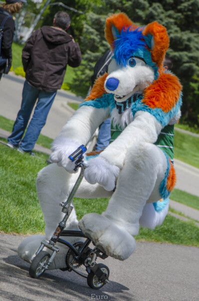 0156_MNFurs Spring Picnic May 14 2016-510