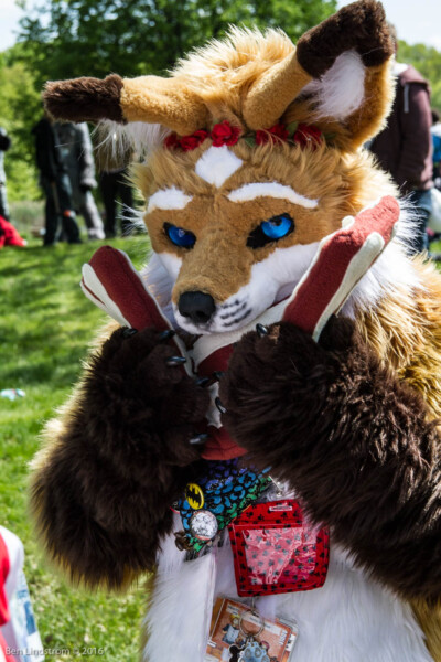 0249_IMG_6654