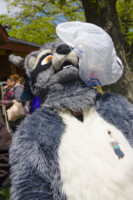 0265_MNFurs Spring Picnic May 14 2016-146 