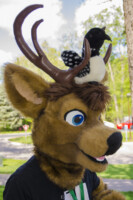 0307_MNFurs Spring Picnic May 14 2016-800 