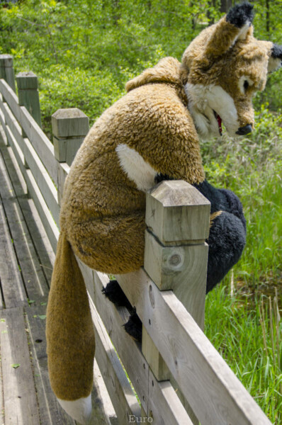 0351_MNFurs Spring Picnic May 14 2016-266