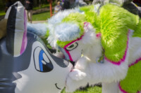 0521_MNFurs Spring Picnic May 14 2016-670 