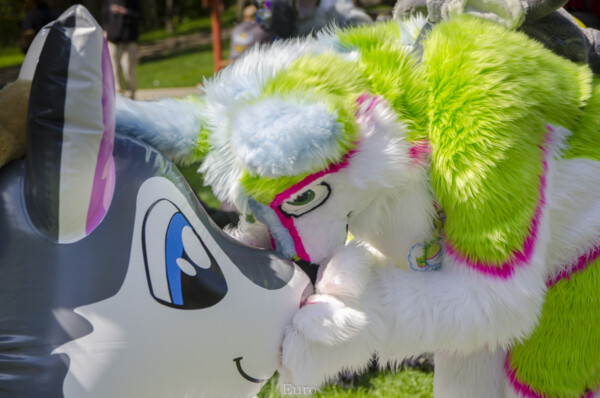 0521_MNFurs Spring Picnic May 14 2016-670