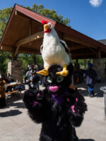 0696_P5150480 