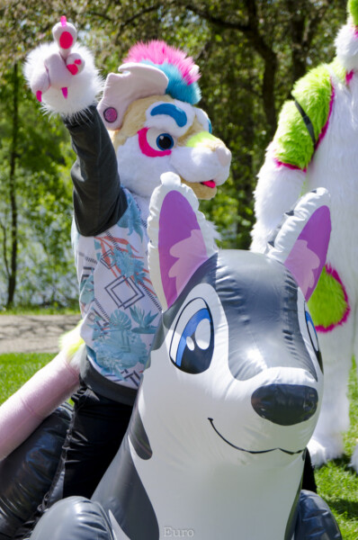0831_MNFurs Spring Picnic May 14 2016-547