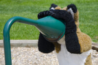 0870_MNFurs Spring Picnic May 14 2016-426 