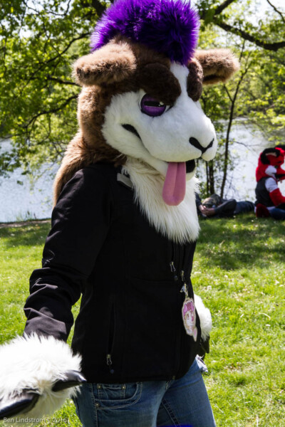 0886_IMG_6649