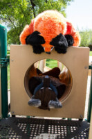 0947_IMG_6623 