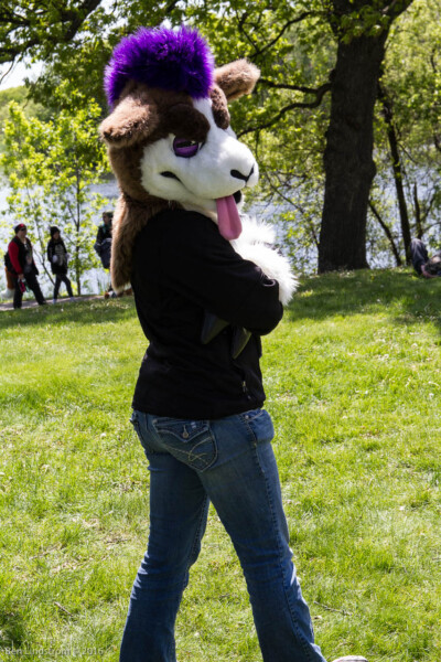 0962_IMG_6651