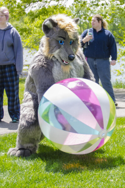 1015_MNFurs Spring Picnic May 14 2016-180