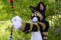 1021_MNFurs Spring Picnic May 14 2016-724 