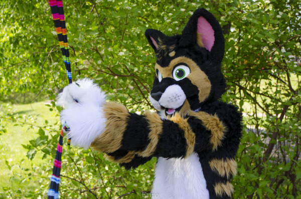1021_MNFurs Spring Picnic May 14 2016-724