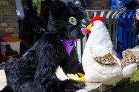 1041_MNFurs Spring Picnic May 14 2016-685 