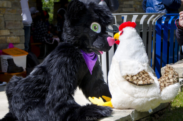 1041_MNFurs Spring Picnic May 14 2016-685