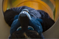 1128_MNFurs Spring Picnic May 14 2016-422 