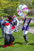 1190_MNFurs Spring Picnic May 14 2016-219 