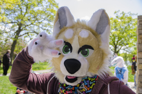 1312_MNFurs Spring Picnic May 14 2016-501