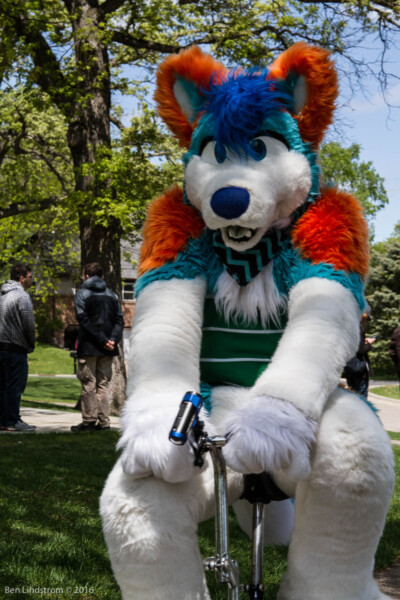 1339_IMG_6638