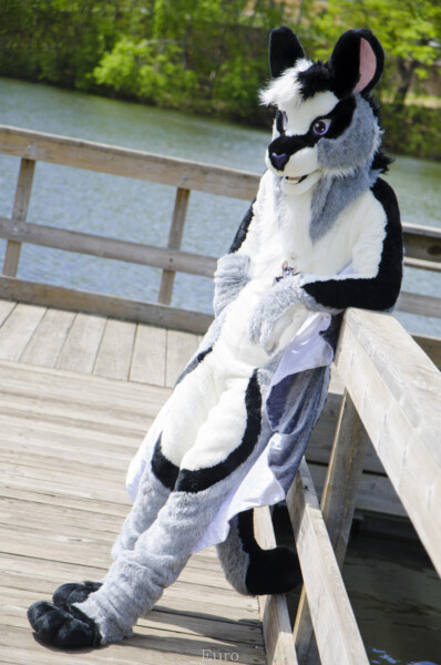 1352_MNFurs Spring Picnic May 14 2016-087