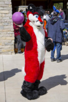 1514_MNFurs Spring Picnic May 14 2016-679 