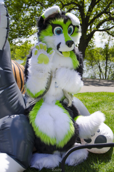 1544_MNFurs Spring Picnic May 14 2016-486