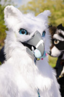 1549_MNFurs Spring Picnic May 14 2016-719 