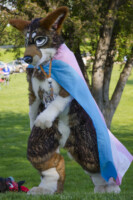 1786_MNFurs Spring Picnic May 14 2016-873 