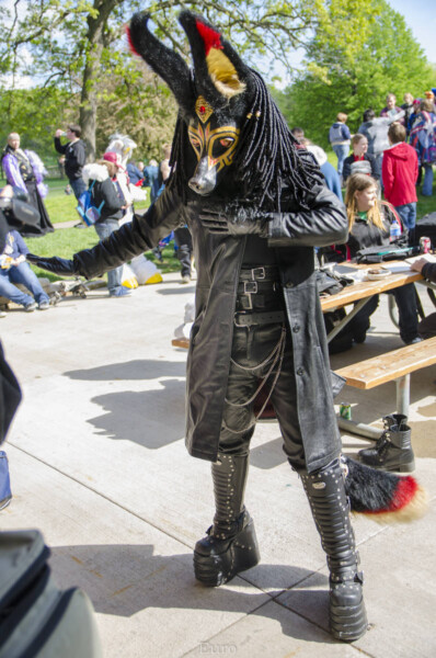 1911_MNFurs Spring Picnic May 14 2016-805