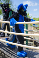 1990_MNFurs Spring Picnic May 14 2016-373 