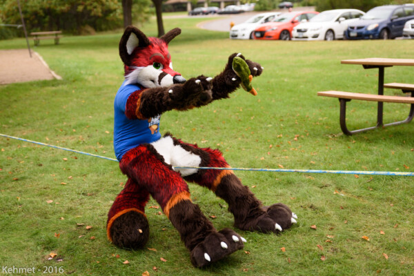 FallPicnic2016 (12)