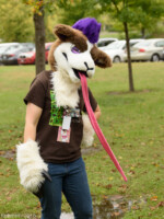 FallPicnic2016 (17) 