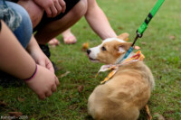 FallPicnic2016 (19) 