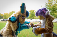 FallPicnic2016 (2) 