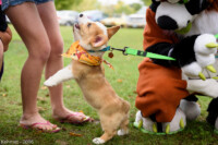 FallPicnic2016 (20) 