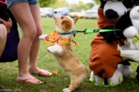 FallPicnic2016 (21) 