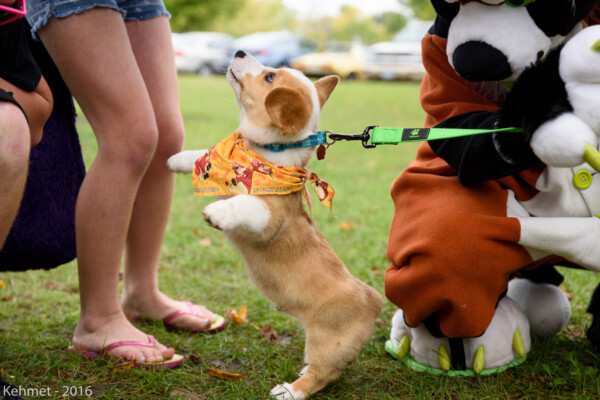 FallPicnic2016 (21)