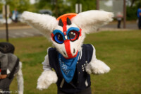 FallPicnic2016 (28) 