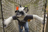 FallPicnic2016 (52) 