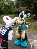 FallPicnic2016 (68) 