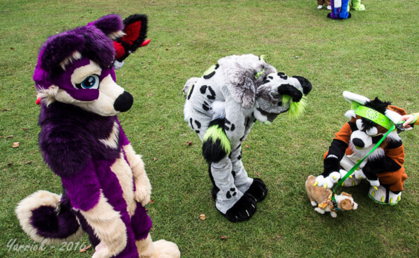 FallPicnic2016 (71)