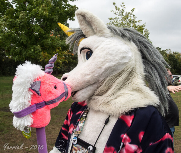 FallPicnic2016 (84)