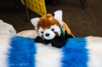 WinterParty2017 (18) 