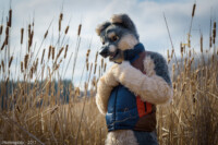 KMT_7318 