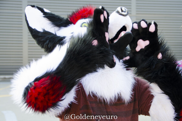 MNFurs Fursuit Romp and Fireworks-017