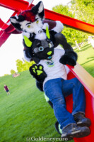 MNFurs Fursuit Romp and Fireworks-031 